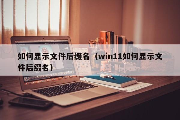 如何显示文件后缀名（win11如何显示文件后缀名）