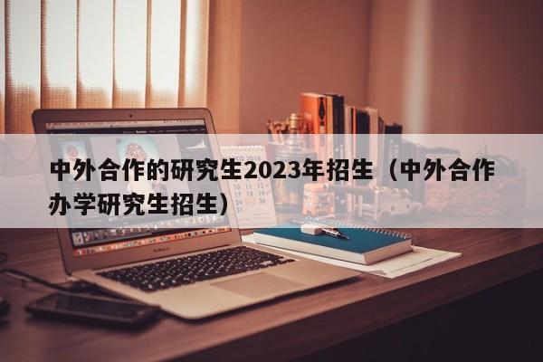 中外合作的研究生2023年招生（中外合作办学研究生招生）