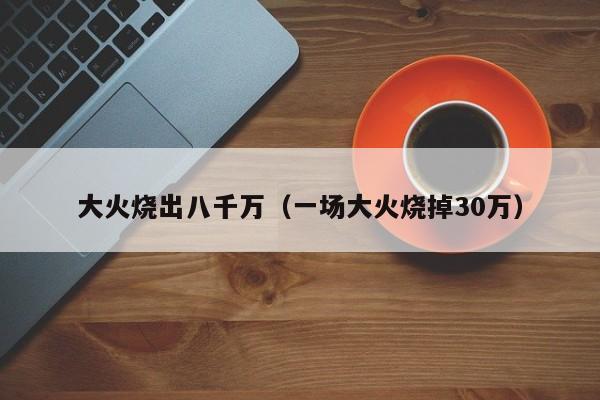 大火烧出八千万（一场大火烧掉30万）