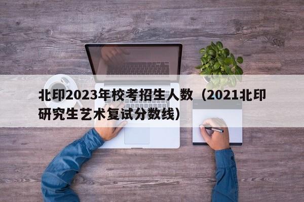 北印2023年校考招生人数（2021北印研究生艺术复试分数线）