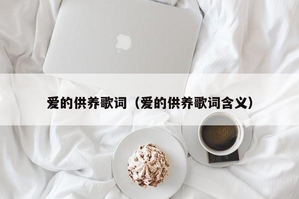 爱的供养歌词（爱的供养歌词含义）