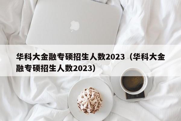 华科大金融专硕招生人数2023（华科大金融专硕招生人数2023）