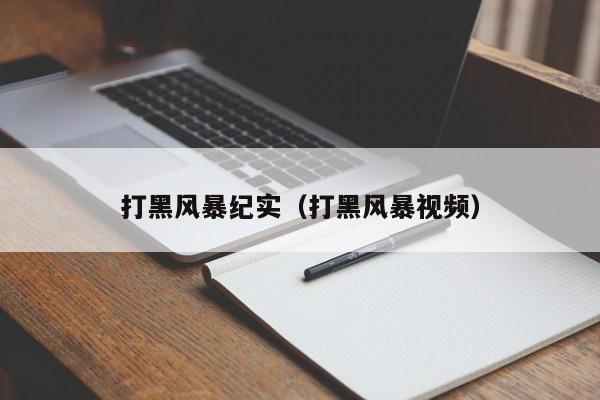 打黑风暴纪实（打黑风暴视频）