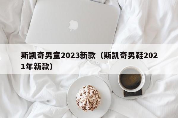 斯凯奇男童2023新款（斯凯奇男鞋2021年新款）