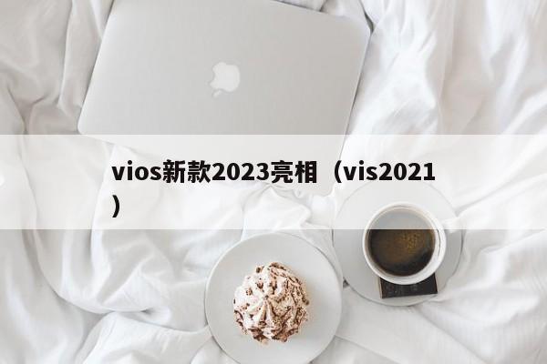 vios新款2023亮相（vis2021）