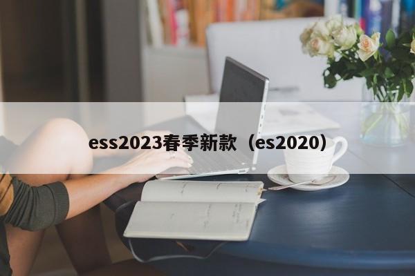 ess2023春季新款（es2020）