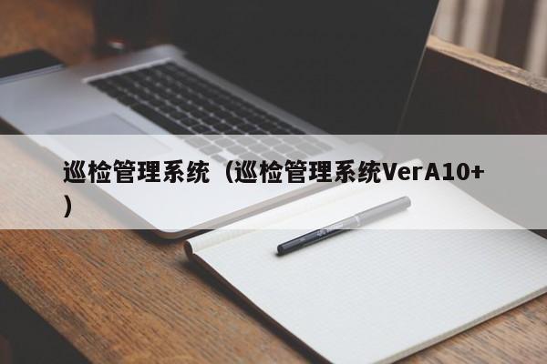 巡检管理系统（巡检管理系统VerA10+）