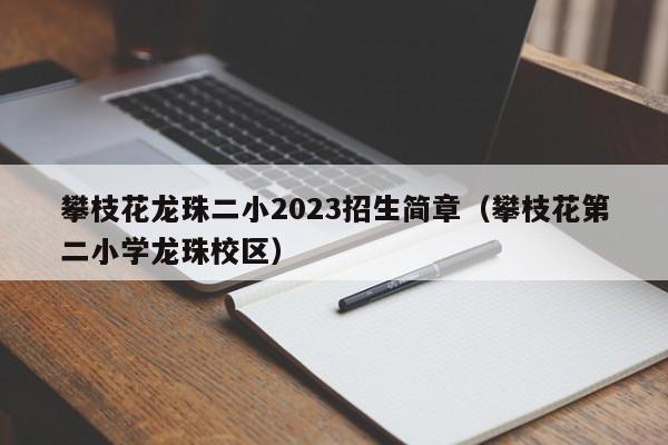 攀枝花龙珠二小2023招生简章（攀枝花第二小学龙珠校区）