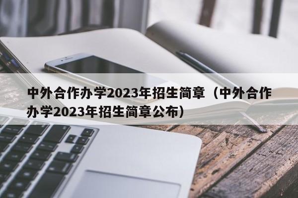 中外合作办学2023年招生简章（中外合作办学2023年招生简章公布）