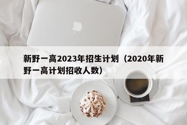 新野一高2023年招生计划（2020年新野一高计划招收人数）