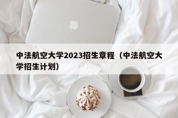 中法航空大学2023招生章程（中法航空大学招生计划）