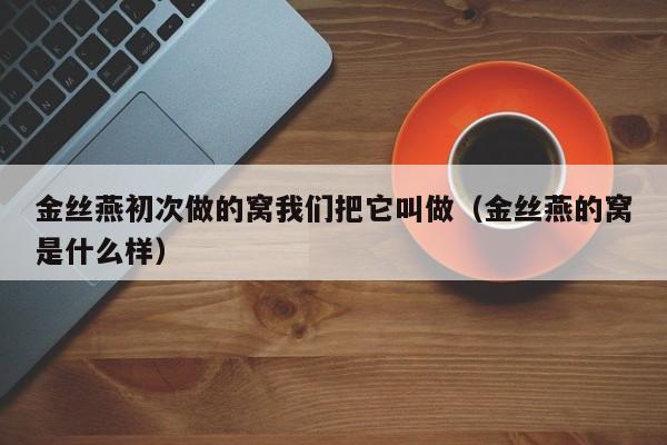 金丝燕初次做的窝我们把它叫做（金丝燕的窝是什么样）