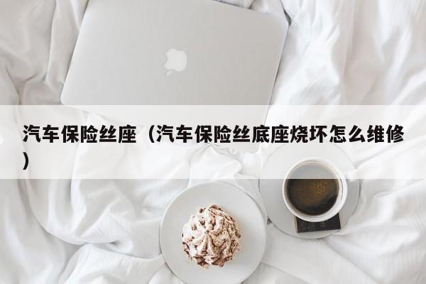 汽车保险丝座（汽车保险丝底座烧坏怎么维修）