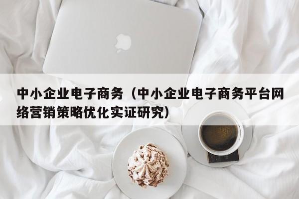 中小企业电子商务（中小企业电子商务平台网络营销策略优化实证研究）