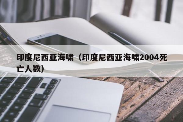 印度尼西亚海啸（印度尼西亚海啸2004死亡人数）