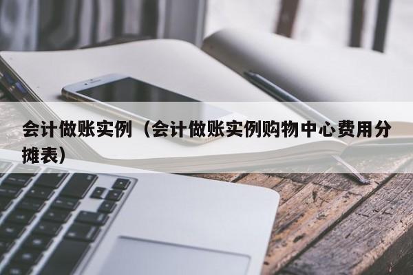 会计做账实例（会计做账实例购物中心费用分摊表）