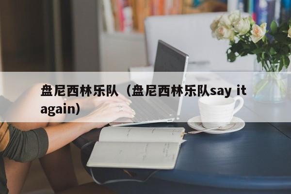 盘尼西林乐队（盘尼西林乐队say it again）