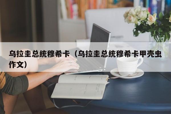 乌拉圭总统穆希卡（乌拉圭总统穆希卡甲壳虫作文）