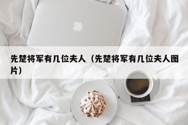 先楚将军有几位夫人（先楚将军有几位夫人图片）