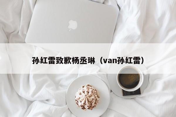 孙红雷致歉杨丞琳（van孙红雷）